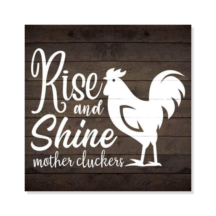 Rise and Shine  Rustic Looking Inspiration Farmhouse Wood Sign Wall Décor Gift 8 x 8 Wood Sign B3-08080061038