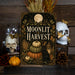 Black Cat Society Elegant metal sign with gothic halloween style — Black Cat Society Elegant