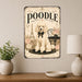 Poodle metal sign with vintage breed portrait style Poodle