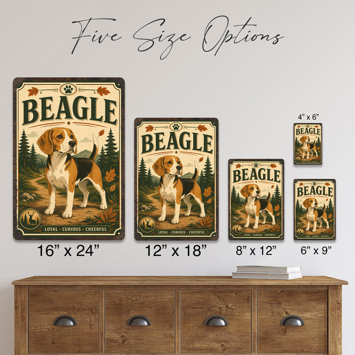 Beagle metal sign with vintage breed portrait style Beagle