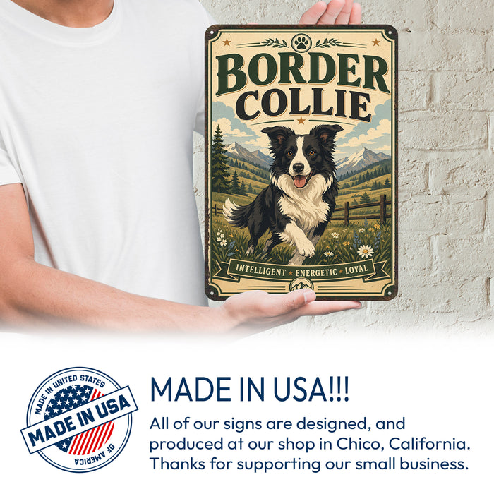 Border Collie metal sign with vintage breed portrait style Border Collie