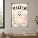 Maltese metal sign with vintage breed portrait style Maltese