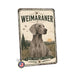 Weimaraner metal sign with vintage breed portrait style Weimaraner