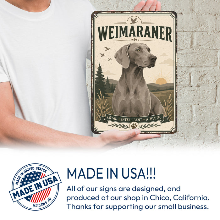 Weimaraner metal sign with vintage breed portrait style Weimaraner