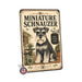 Miniature Schnauzer metal sign with vintage breed portrait style Miniature Schnauzer