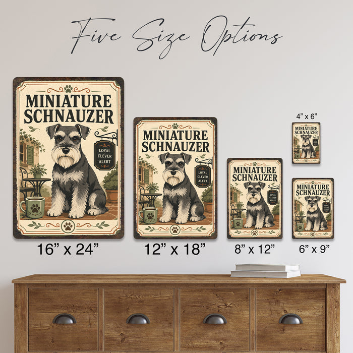Miniature Schnauzer metal sign with vintage breed portrait style Miniature Schnauzer