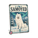 Samoyed metal sign with vintage breed portrait style Samoyed