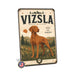 Vizsla metal sign with vintage breed portrait style Vizsla