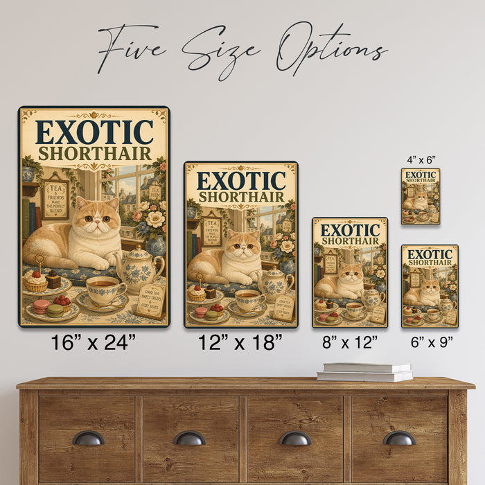 Exotic Shorthair metal sign with vintage breed portrait style Exotic Shorthair