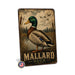 Mallard Duck metal sign with vintage duck identification portrait style Mallard Duck