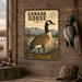 Canada Goose metal sign with vintage duck identification portrait style Canada Goose