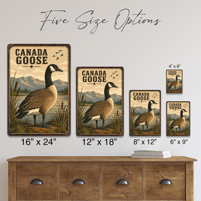 Canada Goose metal sign with vintage duck identification portrait style Canada Goose