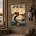 Canvasback Duck metal sign with vintage duck identification portrait style Canvasback Duck