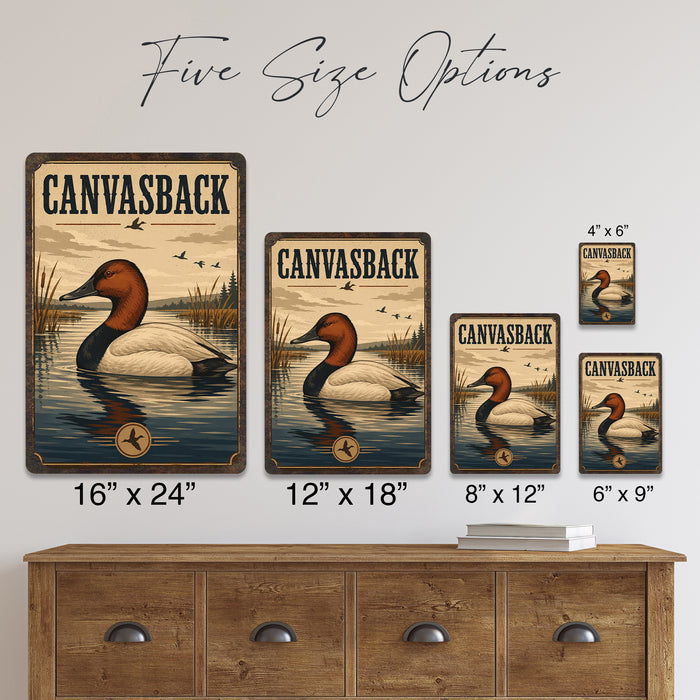 Canvasback Duck metal sign with vintage duck identification portrait style Canvasback Duck