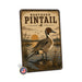 Northern Pintail metal sign with vintage duck identification portrait style Northern Pintail