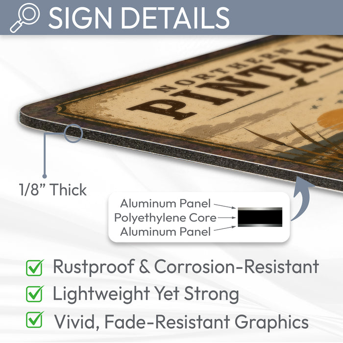 Northern Pintail metal sign with vintage duck identification portrait style Northern Pintail