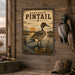 Northern Pintail metal sign with vintage duck identification portrait style Northern Pintail