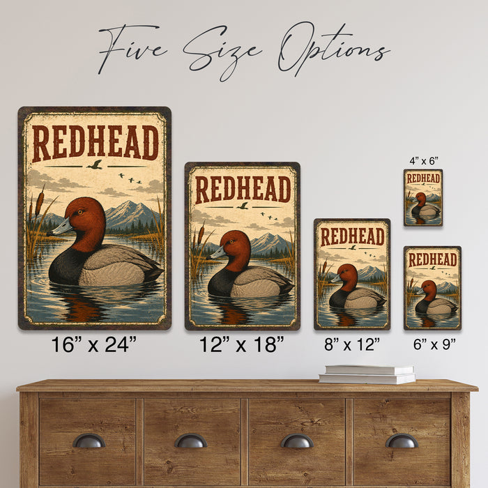 Redhead Duck metal sign with vintage duck identification portrait style Redhead Duck