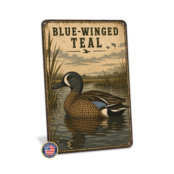 Blue-Winged Teal metal sign with vintage duck identification portrait style Blue-Winged Teal