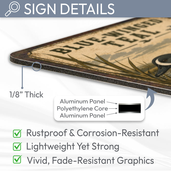 Blue-Winged Teal metal sign with vintage duck identification portrait style Blue-Winged Teal
