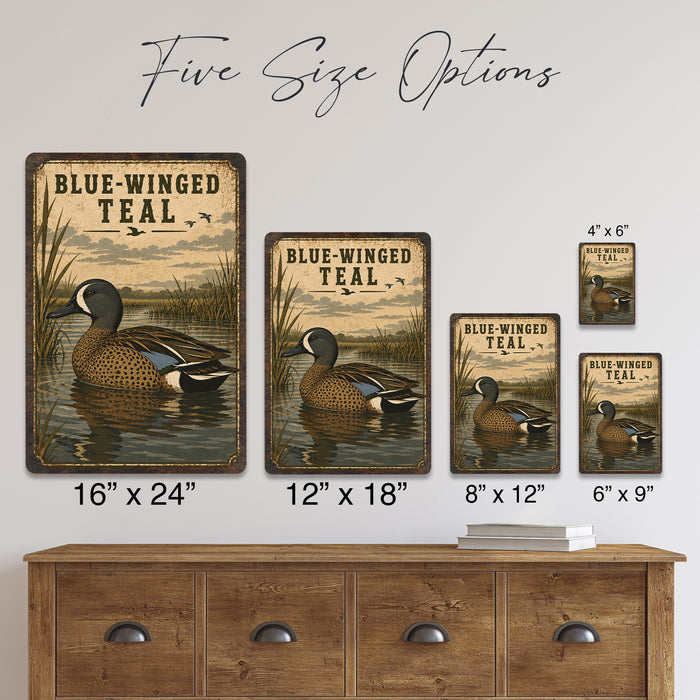 Blue-Winged Teal metal sign with vintage duck identification portrait style Blue-Winged Teal