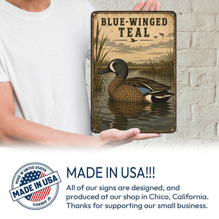 Blue-Winged Teal metal sign with vintage duck identification portrait style Blue-Winged Teal