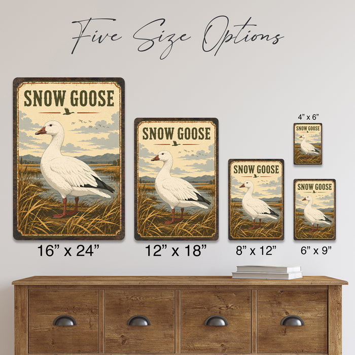 Snow Goose metal sign with vintage duck identification portrait style Snow Goose