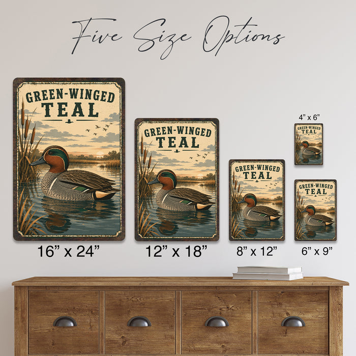Green-Winged Teal metal sign with vintage duck identification portrait style Green-Winged Teal