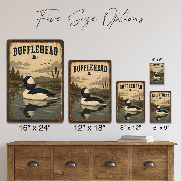 Bufflehead Duck metal sign with vintage duck identification portrait style Bufflehead Duck