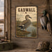 Gadwall Duck metal sign with vintage duck identification portrait style Gadwall Duck