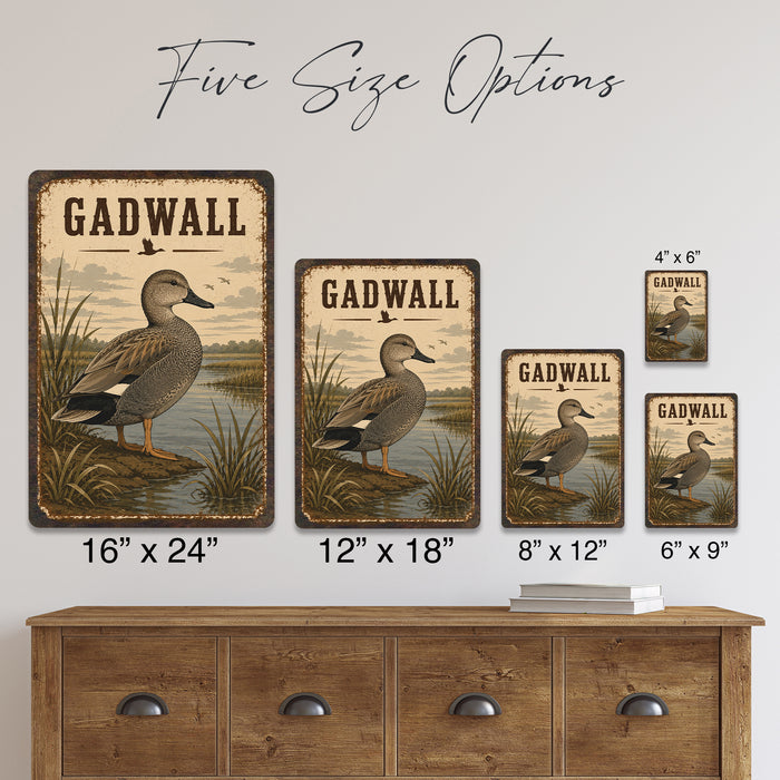 Gadwall Duck metal sign with vintage duck identification portrait style Gadwall Duck