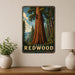 Coast Redwood California metal sign with vintage travel-poster illustration of coast redwood in California