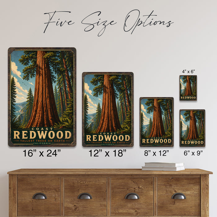 Coast Redwood California metal sign with vintage travel-poster illustration of coast redwood in California