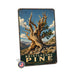 Bristlecone Pine California metal sign with vintage travel-poster illustration of bristlecone pine in California