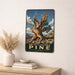 Bristlecone Pine California metal sign with vintage travel-poster illustration of bristlecone pine in California