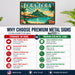 Bora Bora Tahiti metal sign with art-deco vintage travel poster style of Bora Bora Tahiti (tahiti polynesia)